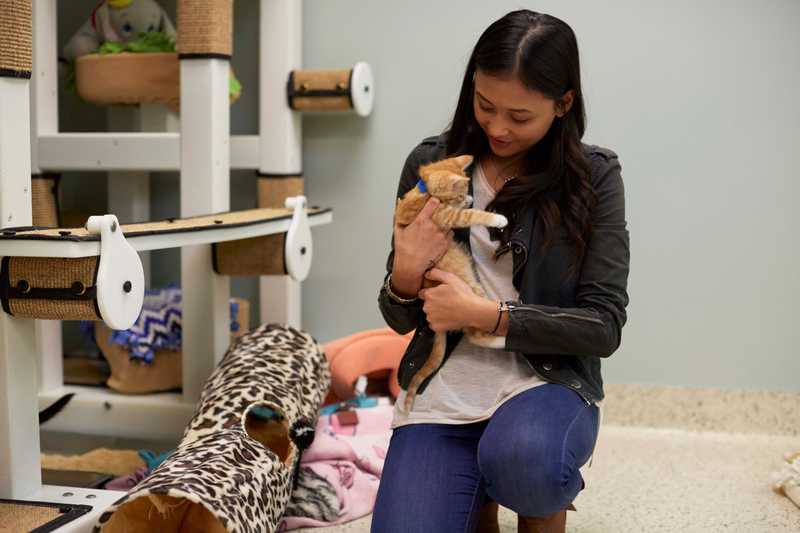 Lady holding a cat