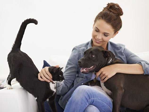 Lady with a cat and dog