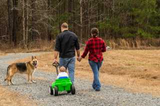 German Shepherd Dog on family walk