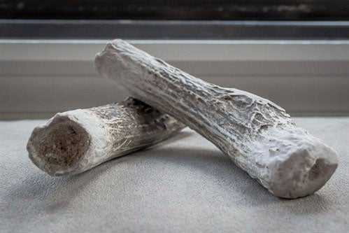 Problem solved. Antlers are expensive, but I’ve found them to be well-worth the cost. They’re long lasting, have no smell/residue, and the dogs love them. The usual caveats apply – you want to supervise your pup when they try their antler, and you want to check with your vet to make sure your pup’s teeth/gums are healthy and undamaged. Antlers certainly aren’t for every dog (especially overly-aggressive chewers) but for many pups antlers are a great substitute for the traditional dog bone.