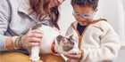 Woman holding cat, while cat gently eats from child's hand